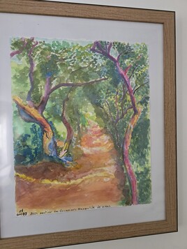 Chemin des douaniers Giens