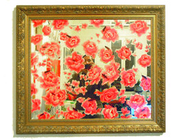 Le rêve des cafards