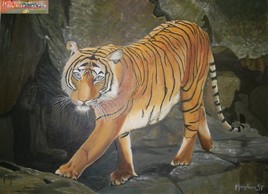 Chasse f&eacute;line