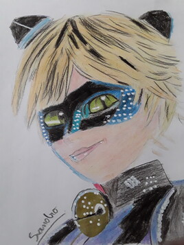 Chat noir