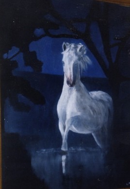 Le cheval blanc dans la nuit