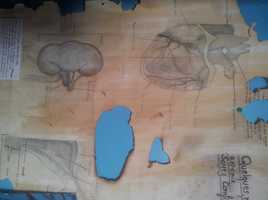 Medecine et Art ! quel beau mélange !! qu'en dites-vous?