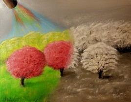 Le printemps arrive !