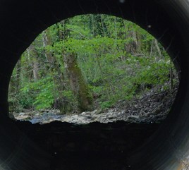 Au bout du tunnel..