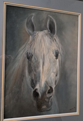 portrait de cheval