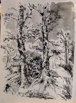 La maison derrière les arbres