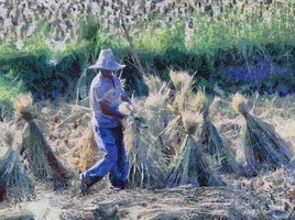 Paysans aux gerbes de blées