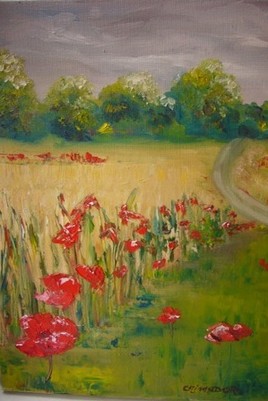 Gentils coquelicots