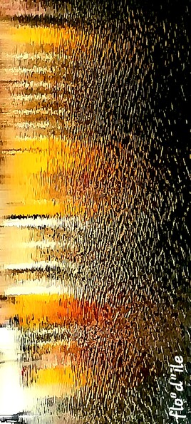 FRISSON NUANC&Eacute;