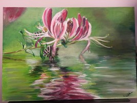 Couleurs du printemps