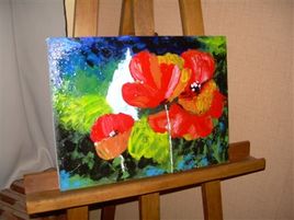 Champs de coquelicots