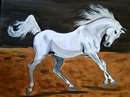 Cheval gris au galop