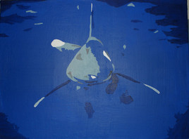 Requin longimane (2012)