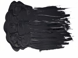 For&ecirc;t landaise 1