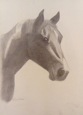 Cheval 1