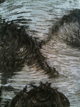vagues. (photo)