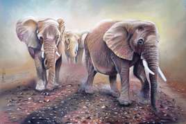 Troupeau d'éléphants