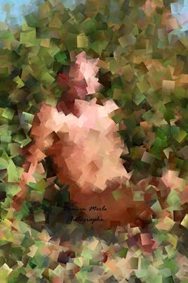 ... serein,il devient.