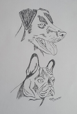 Portraits de chiens