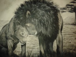 M&ecirc;me les plus f&eacute;roces sont plein d'amour....