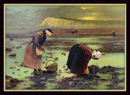 les glaneuses de la mer