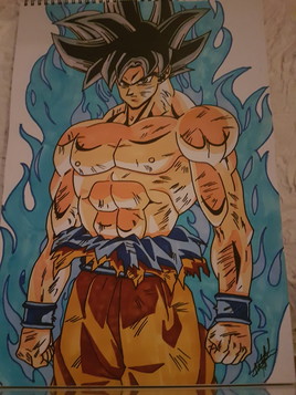 Sangoku ultra instinct