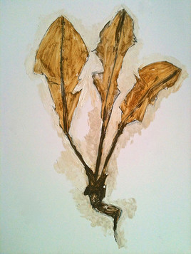 Mauvaise herbe, n&deg;3