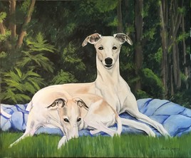 Petits lévriers italiens