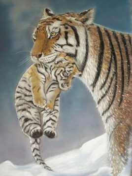 Maman tigre et son bébé