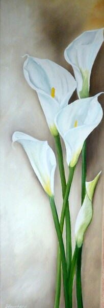 Callas &eacute;l&eacute;gants