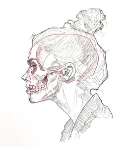Skull.M.