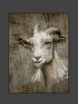 La ch&egrave;vre de M Patin