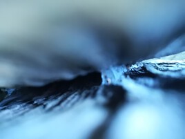 abstraction photographique