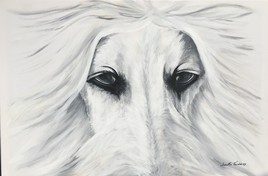 Thor ... lévier afghan