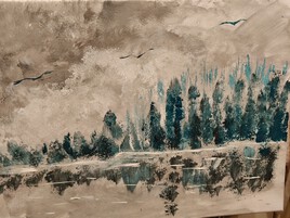 Envol d'oiseaux au dessus d'une forêt de sapins