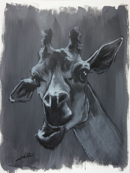 Sketch Girafe