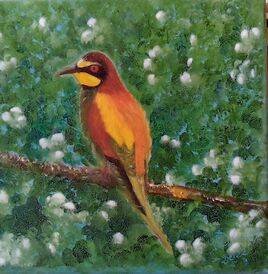 Le Guêpier d'Europe