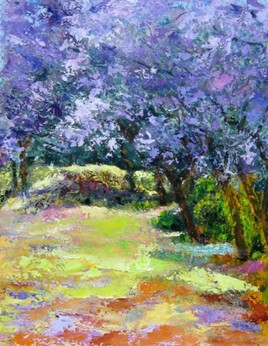 Jacaranda en fleurs