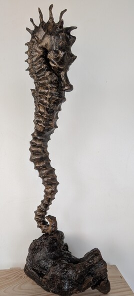 Hippocampe Hippocampe