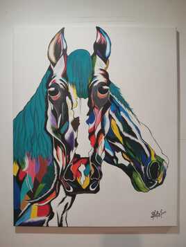 La distorsi&oacute;n duplex