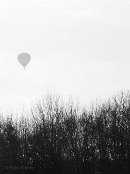 La montgolfière