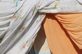  Linge du sud N&deg;16636