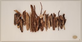 Ste Restitude n&deg;7