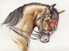 Horse Portrait 2