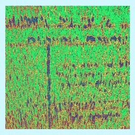 Facture de dentiste natelisee