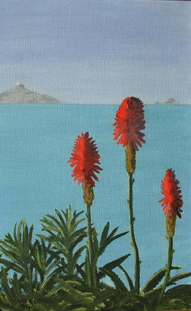Aloes 2