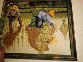 Planteurs de riz