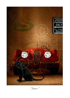 "Jaguar"