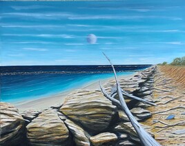 Bois flottés Bois flottés