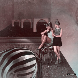 Droles de Z&egrave;bres